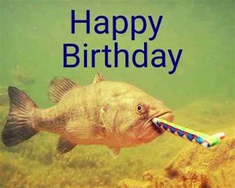 Fishing birthday meme - No "Fishing birthday" memes have been featured yet.